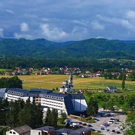 Ramonda * Teslic